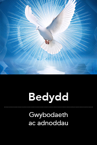 Adnoddau Bedydd