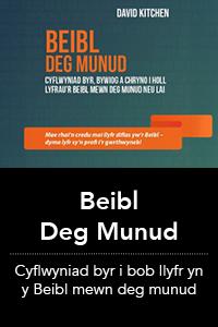 Beibl Mewn Deg