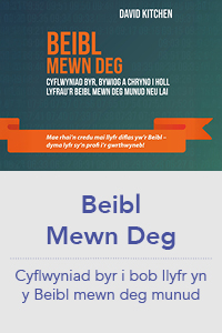 Beibl Mewn Deg