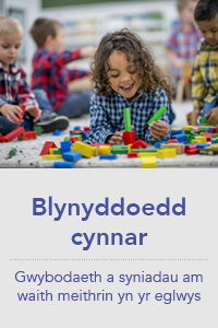 Blynyddoedd Cynnar