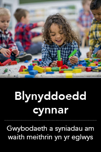 Blynyddoedd Cynnar