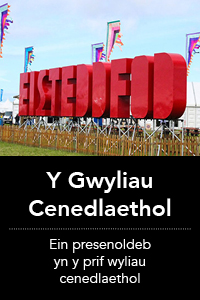 Y Gwyliau Cenedlaethol