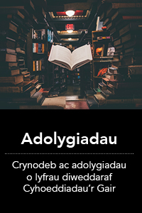 Adolygiadau