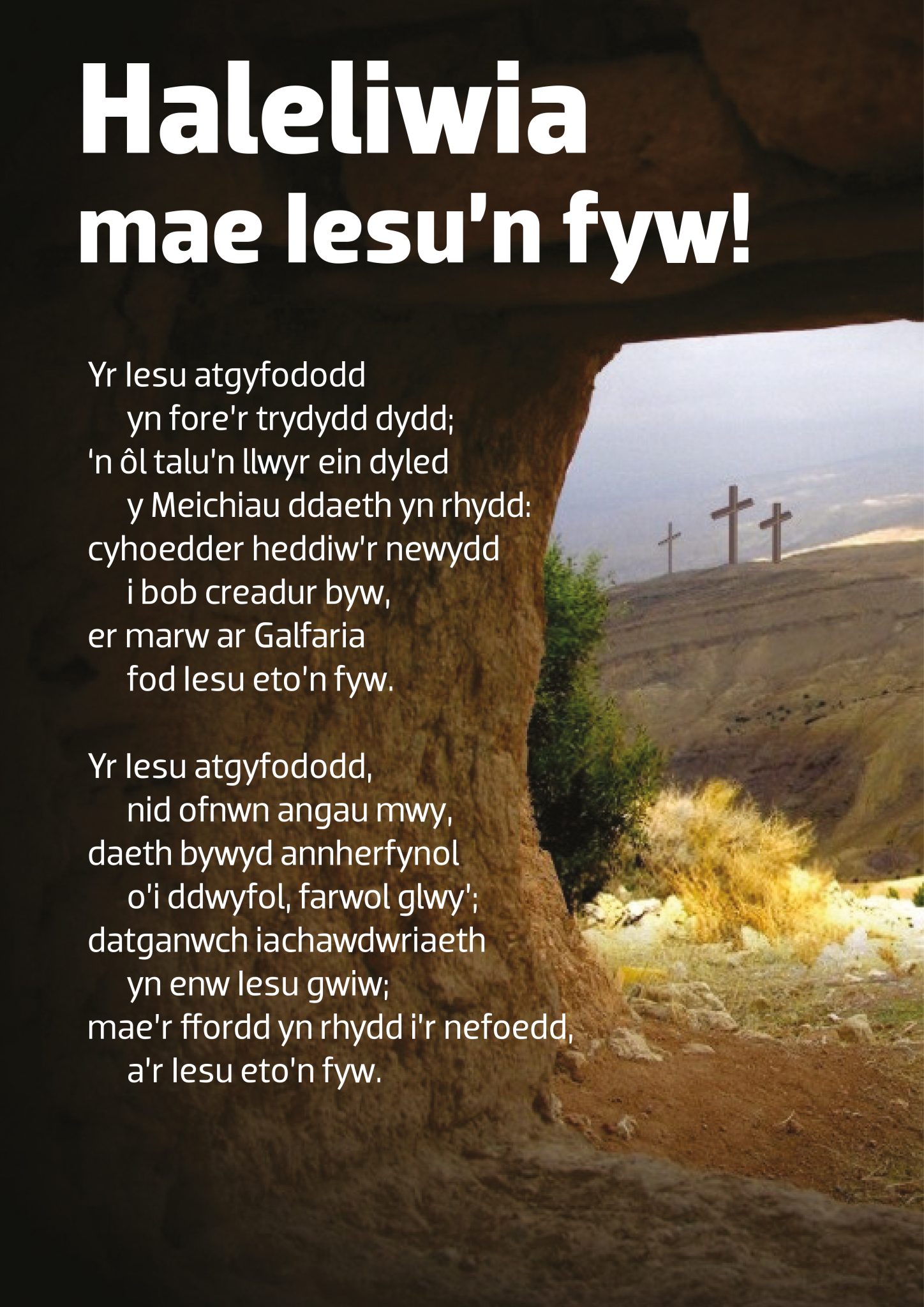 Poster 12