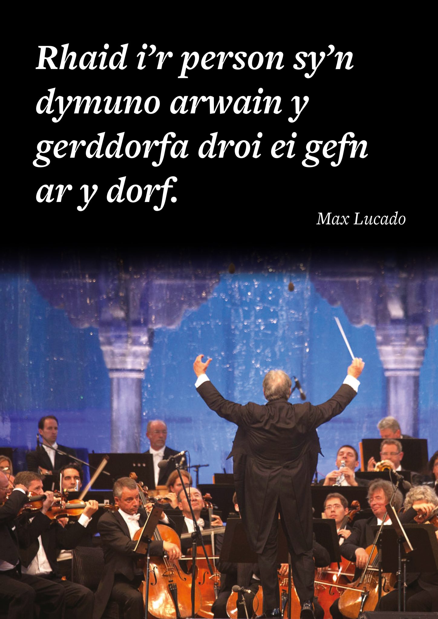Poster 13