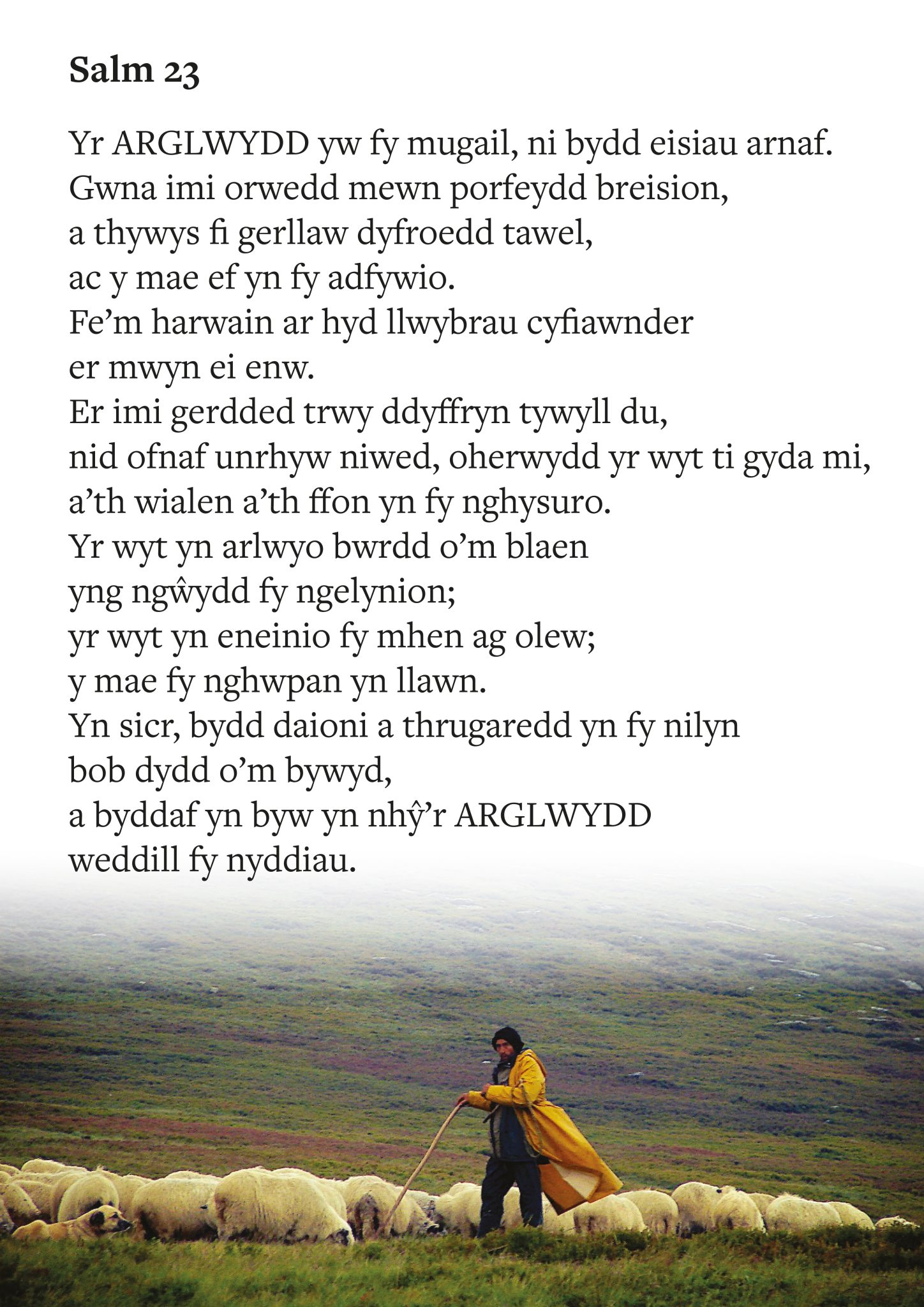 Poster 8